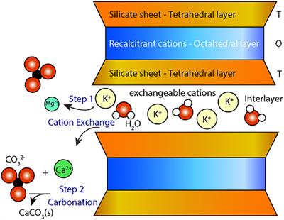 Cation Exchange in Smectites as a New Approach to Mineral Carbonation